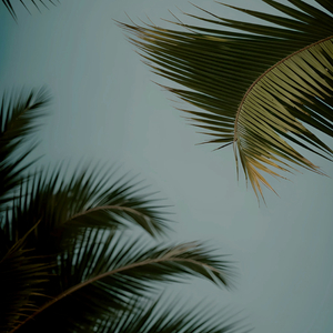 国模艾小青自慰高潮
